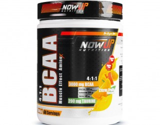 NOWUP Nutrition Bcaa 4:1:1 360 Gr Narenciye